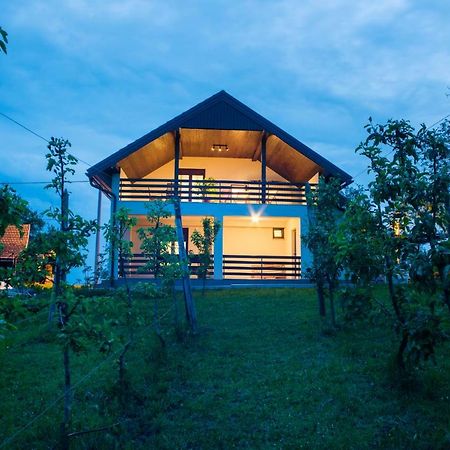 Holiday Home Dandelion With Hot Tub & Sauna Cetingrad المظهر الخارجي الصورة