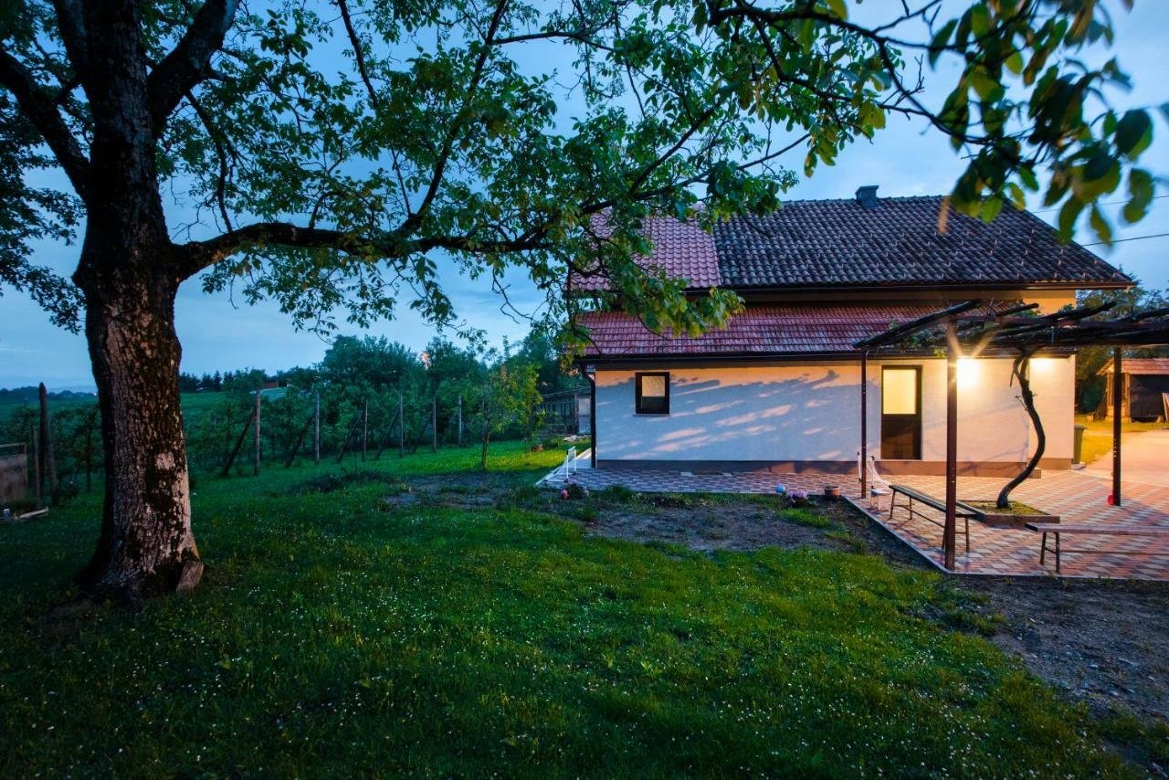 Holiday Home Dandelion With Hot Tub & Sauna Cetingrad المظهر الخارجي الصورة